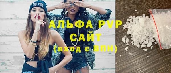 МДПВ Каменногорск