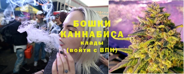 МДПВ Каменногорск