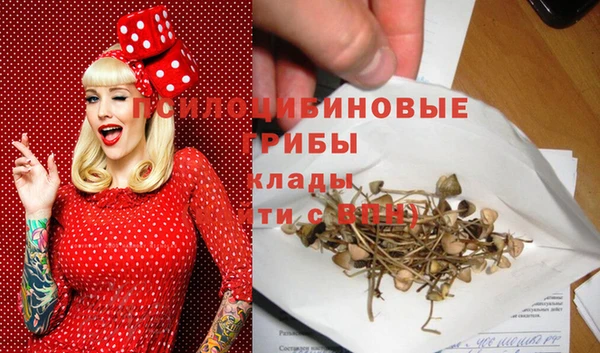 мяу мяу мука Каменка