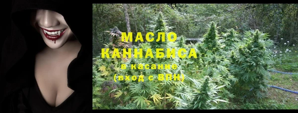 МДПВ Каменногорск