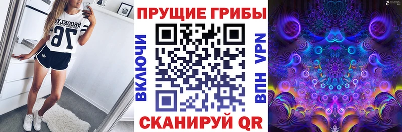 Галлюциногенные грибы Psilocybine cubensis  Купить где  Вязьма 